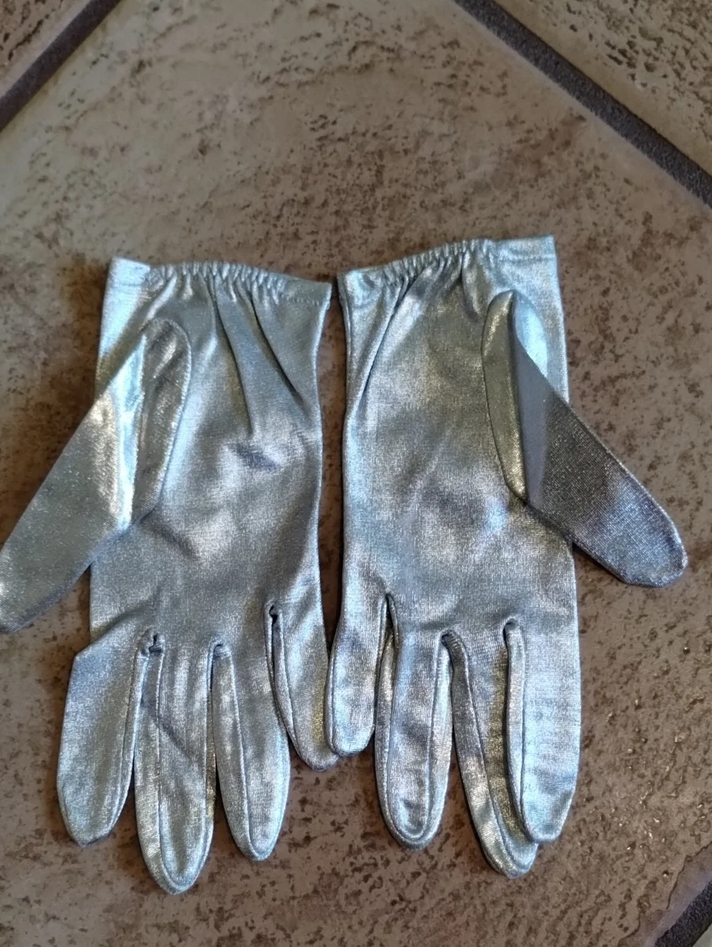 Metallic Silver Gloves
